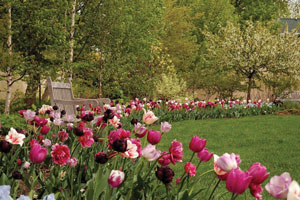 Photo courtesy of the Paine Art Center and Gardens