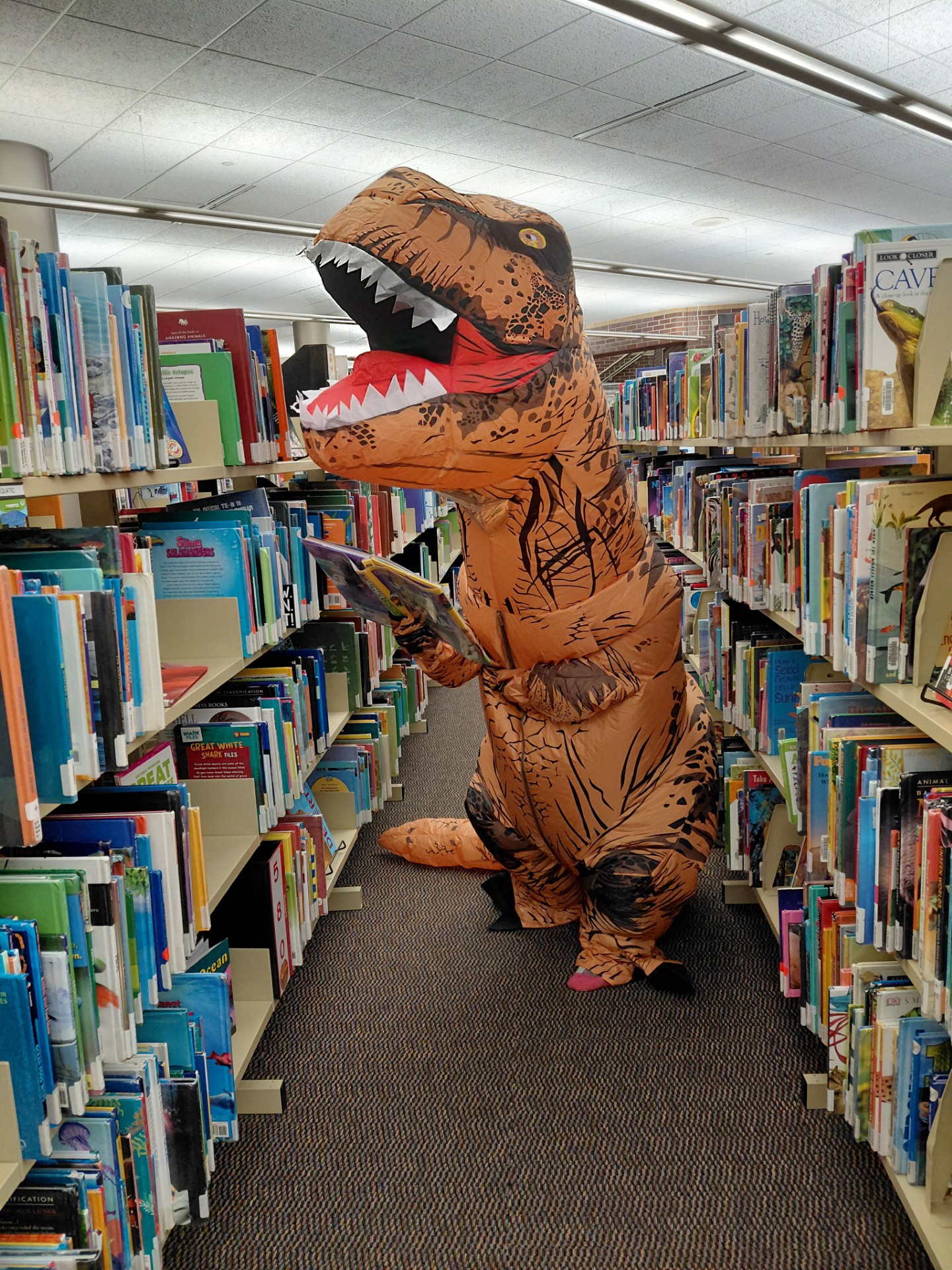 Dinovember